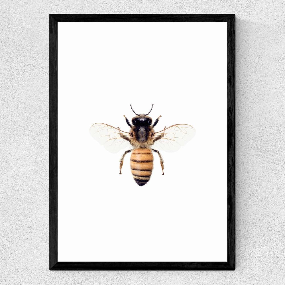 East End Prints Bee By Sisi And Seb