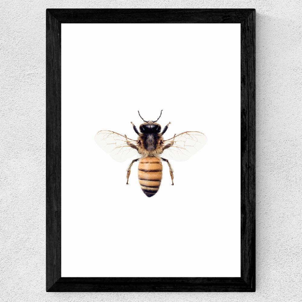 East End Prints Bee By Sisi And Seb