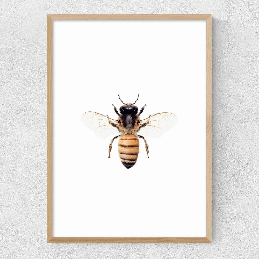 East End Prints Bee By Sisi And Seb