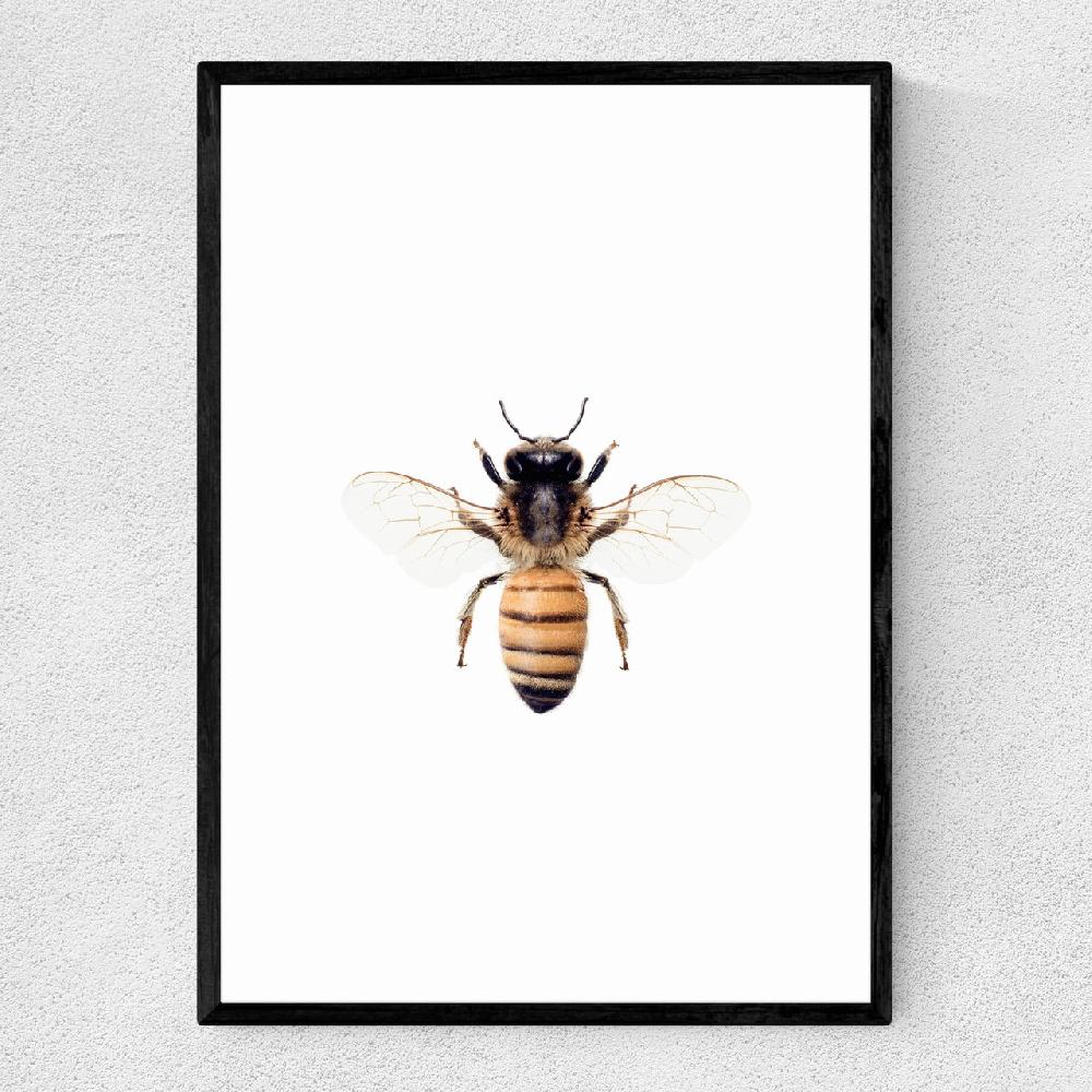 east end prints Bee by Sisi and Seb