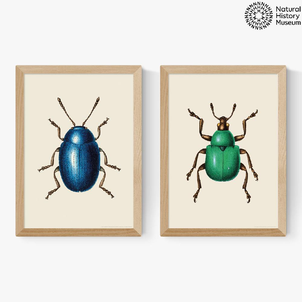 East End Prints Beetle Diptych