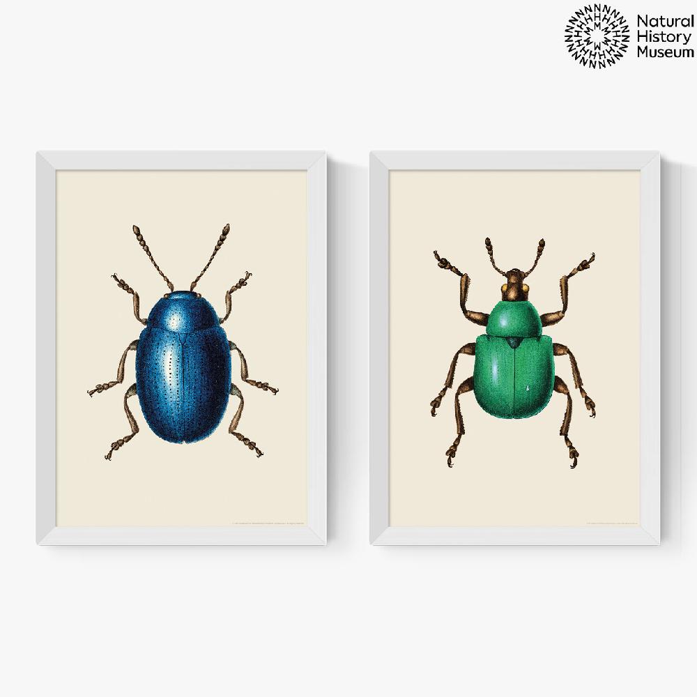 East End Prints Beetle Diptych