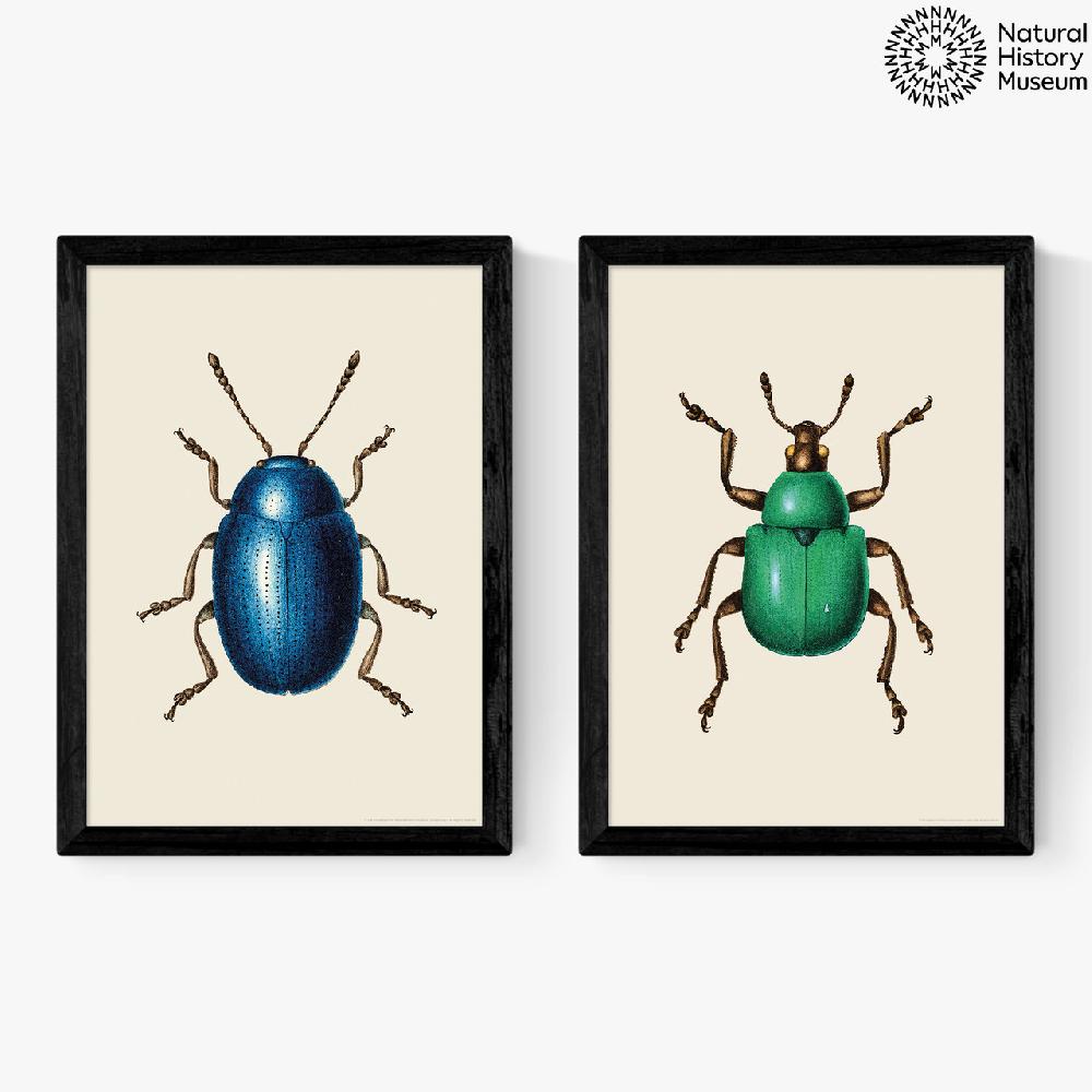 east end prints Beetle Diptych