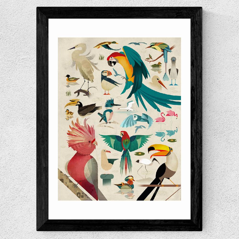 East End Prints Birds By Dieter Braun