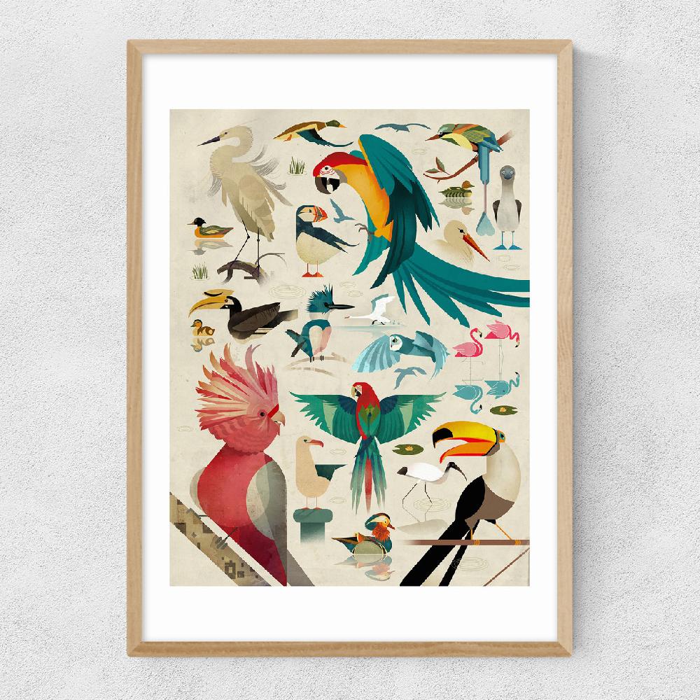 East End Prints Birds By Dieter Braun