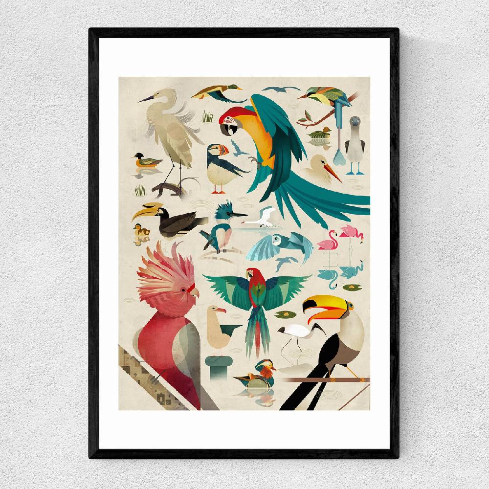 east end prints Birds by Dieter Braun