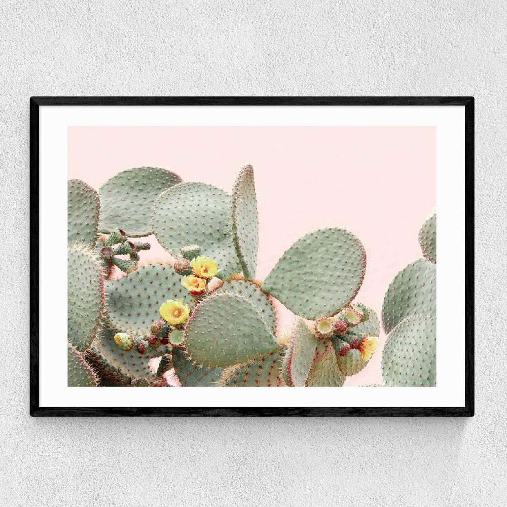 east end prints Blooming Cactus