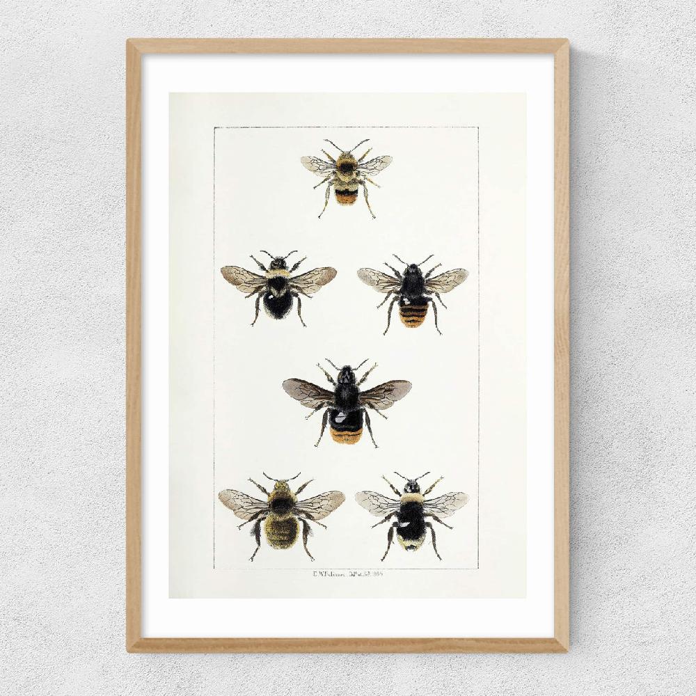 East End Prints British Bee