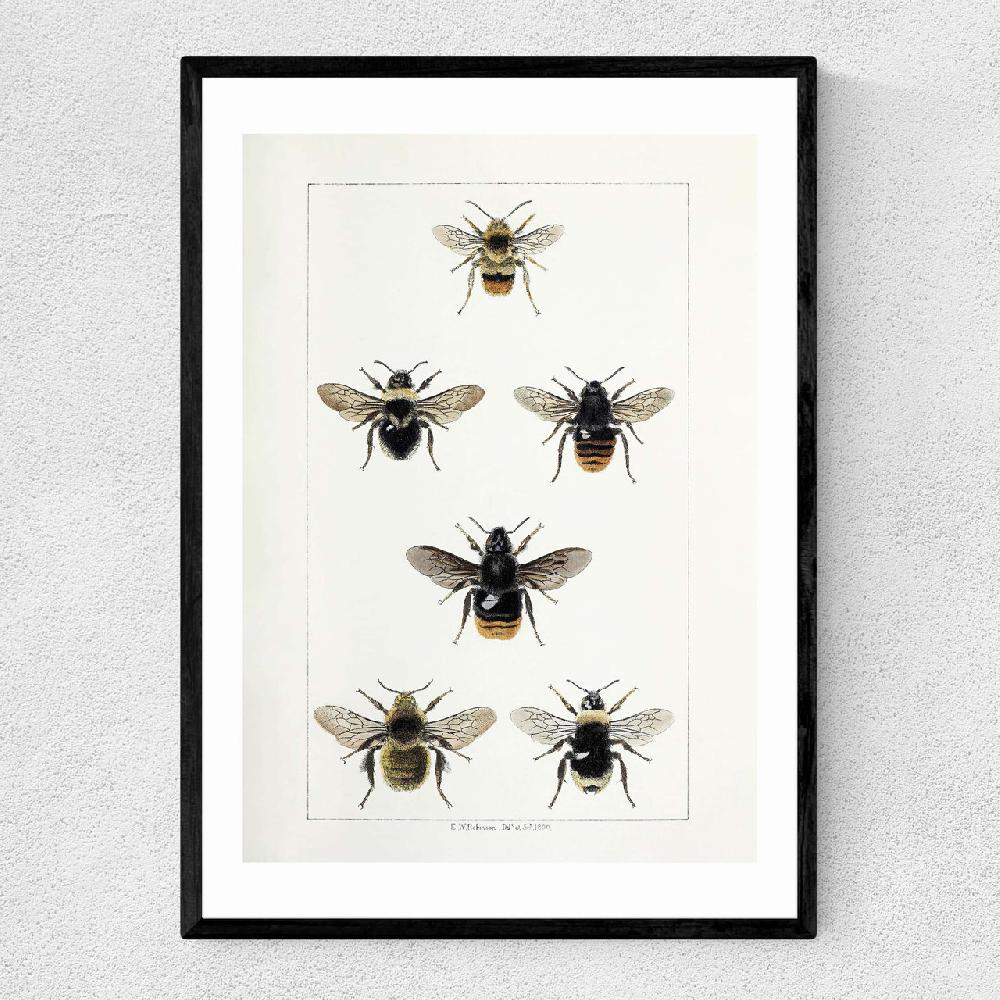 east end prints British Bee