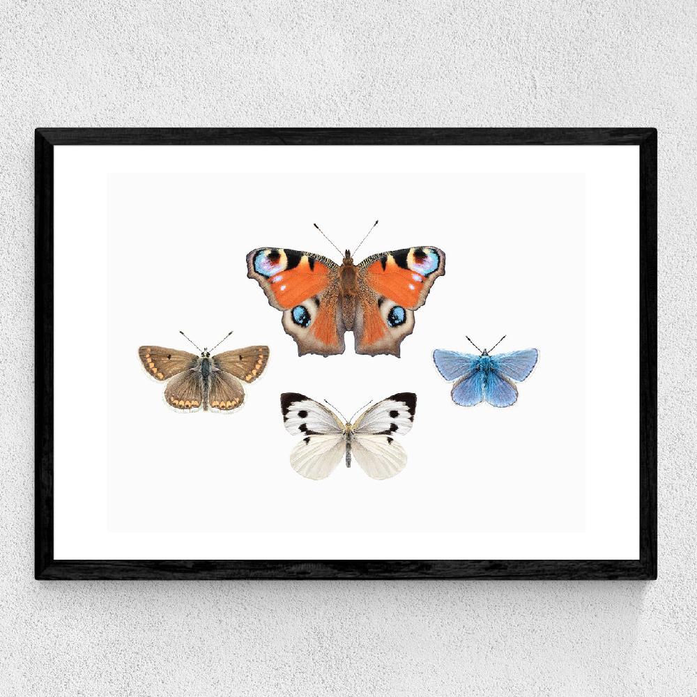East End Prints British Butterflies