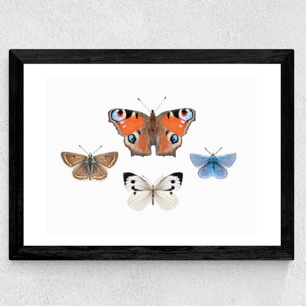 East End Prints British Butterflies