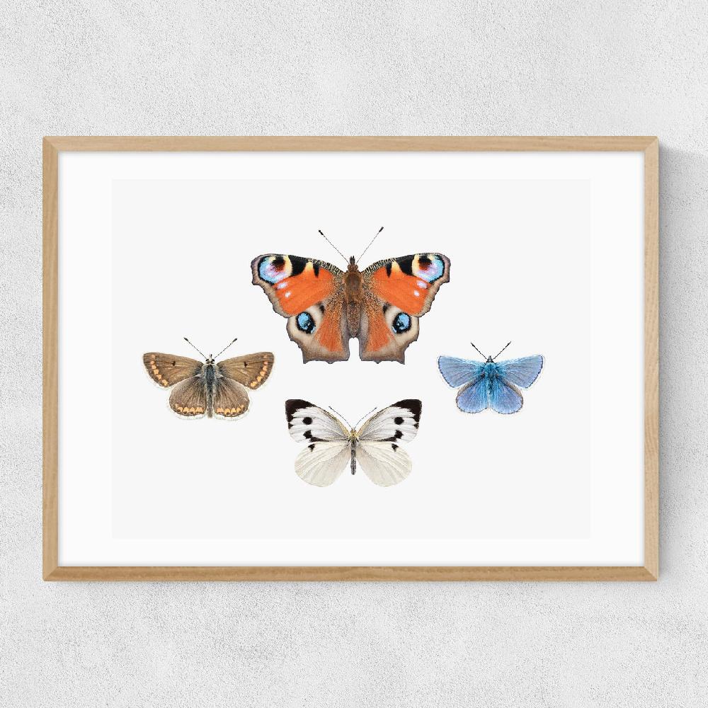 East End Prints British Butterflies