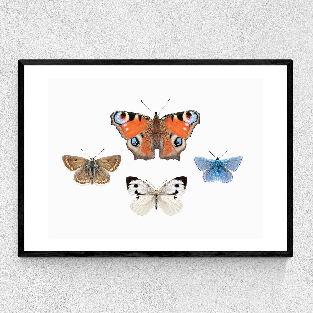 east end prints British Butterflies