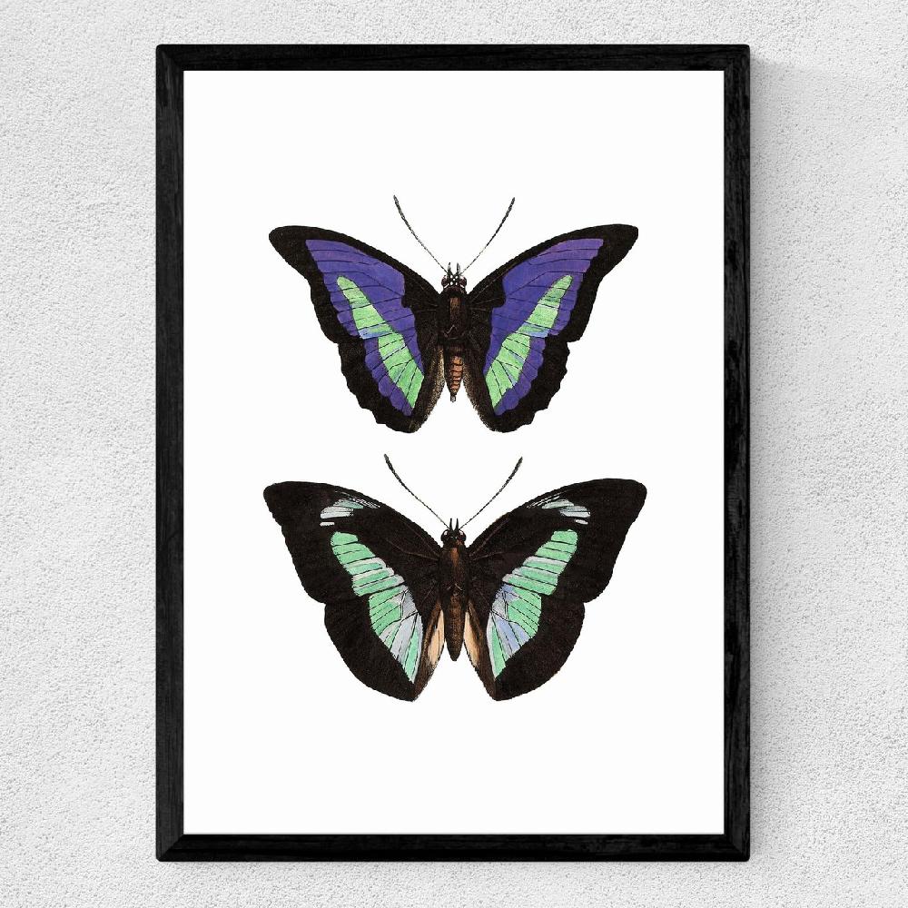 East End Prints Butterfly Purple