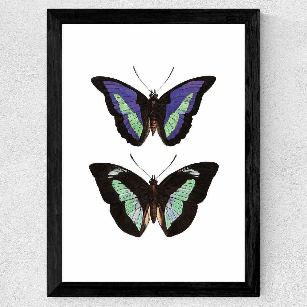 East End Prints Butterfly Purple