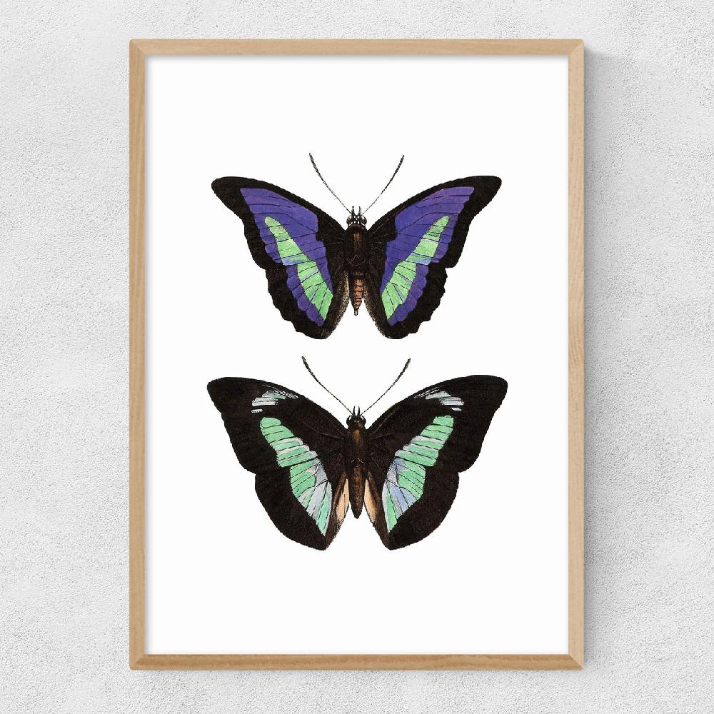 East End Prints Butterfly Purple