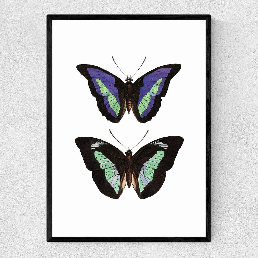 east end prints Butterfly Purple