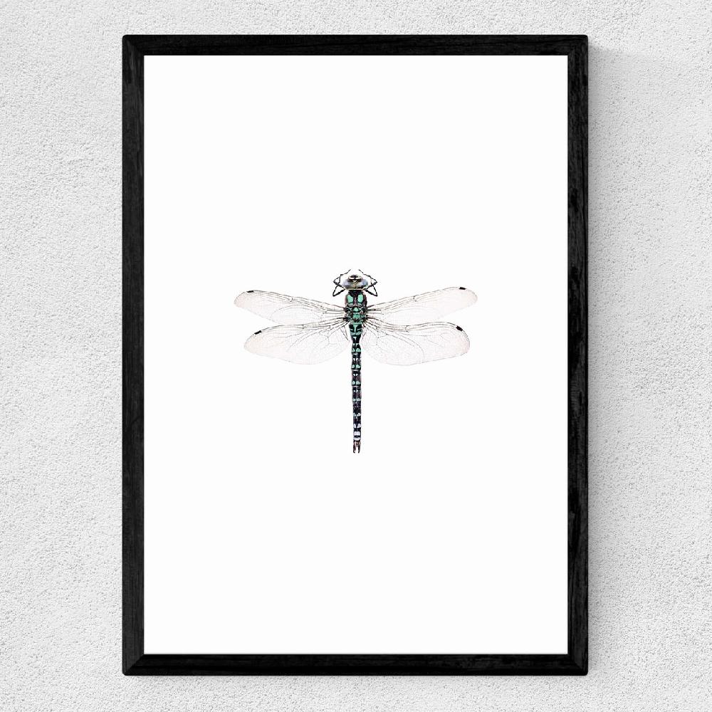 East End Prints Dragonfly