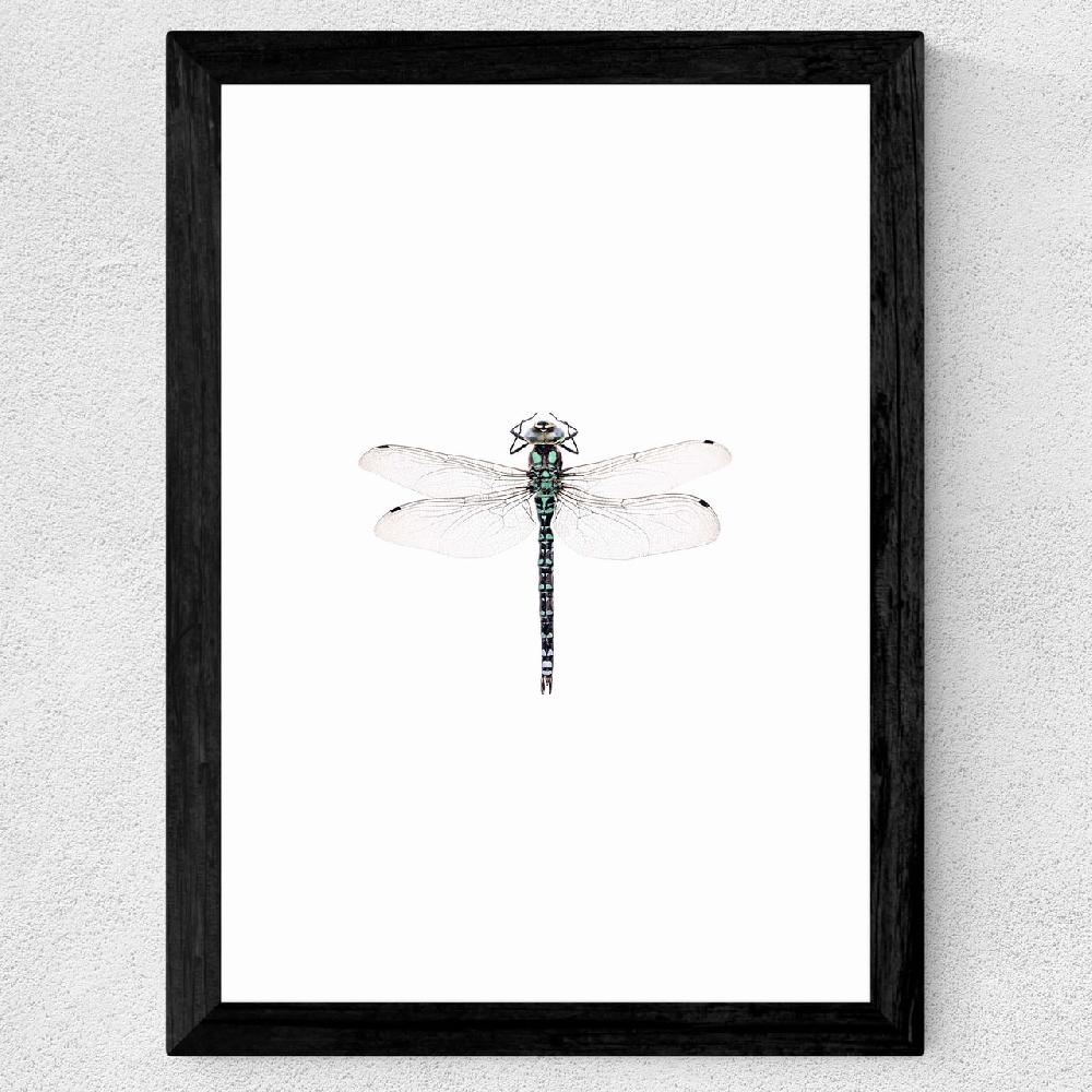 East End Prints Dragonfly
