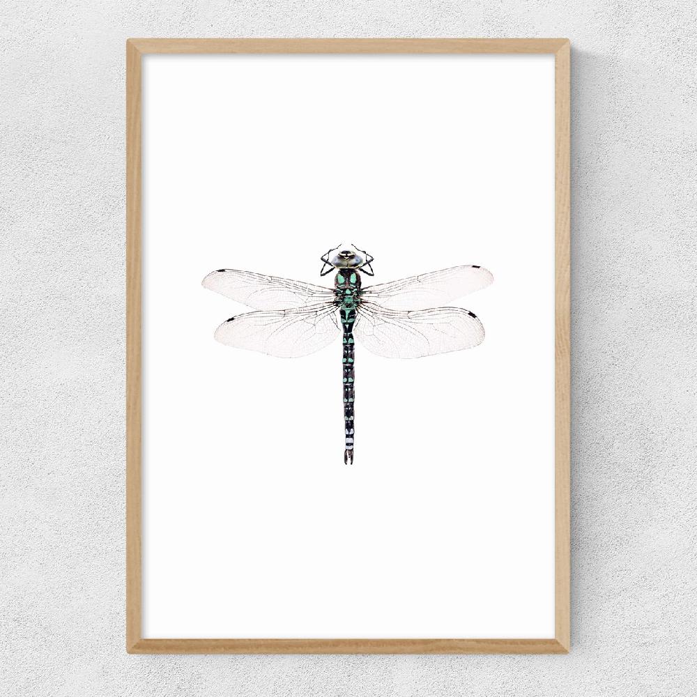 East End Prints Dragonfly