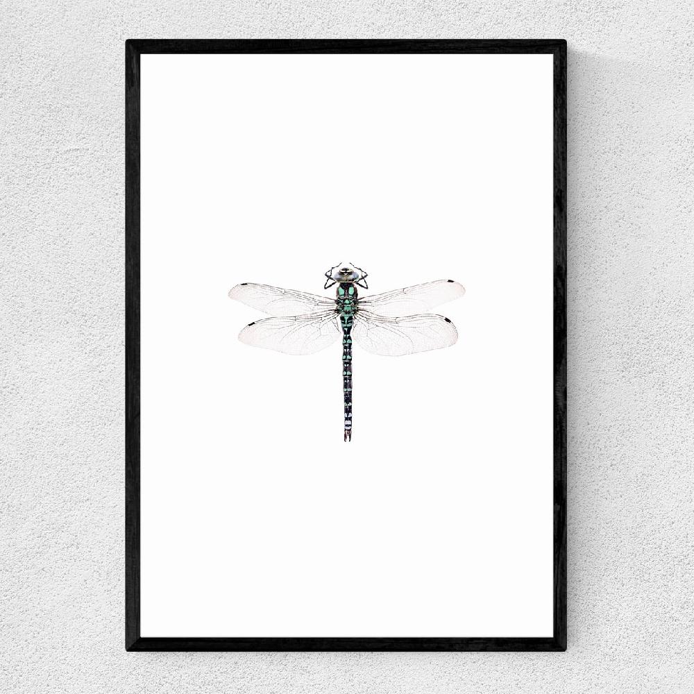 east end prints Dragonfly