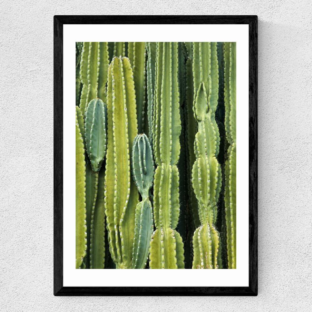 East End Prints Druid's Cactus