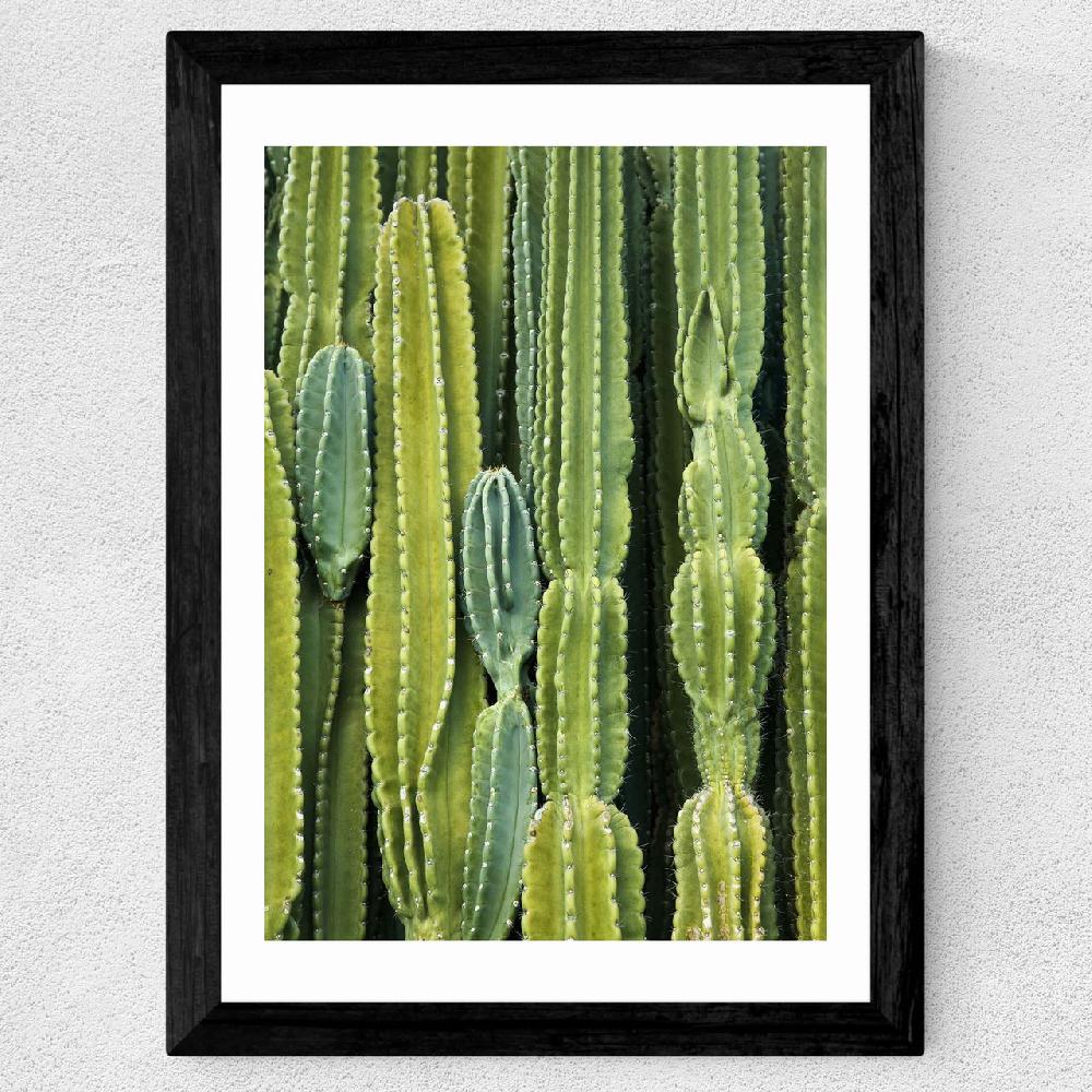 East End Prints Druid's Cactus