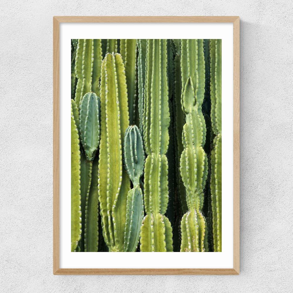 East End Prints Druid's Cactus