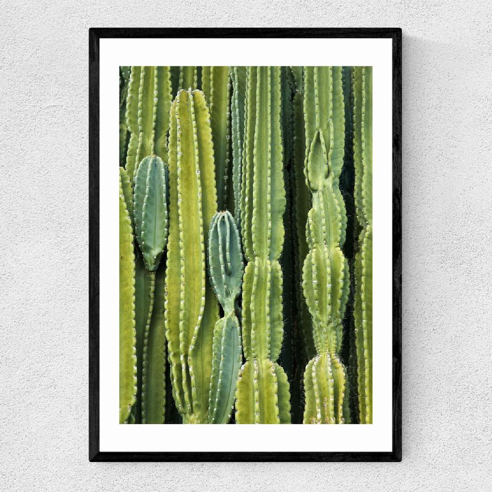 east end prints Druid's Cactus