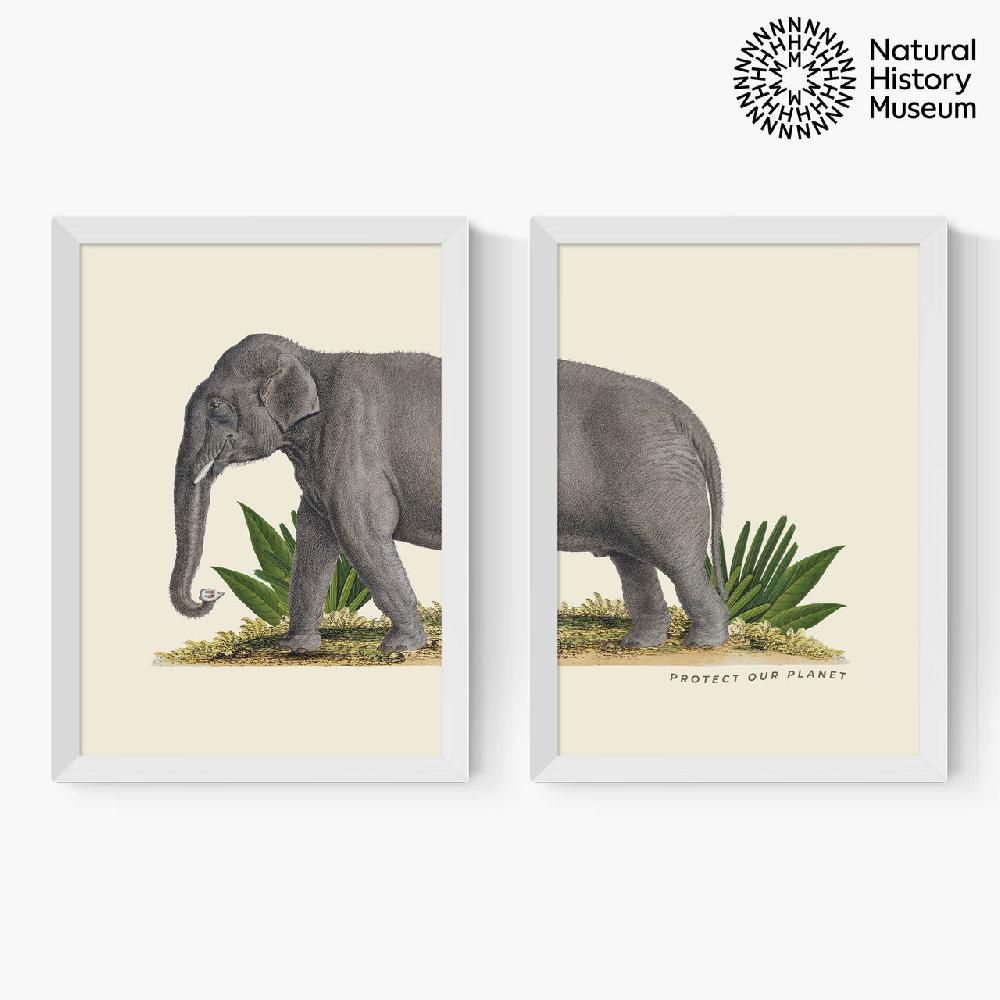East End Prints Elephant Diptych