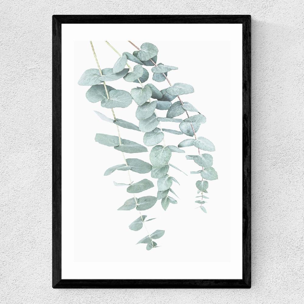 East End Prints Eucalyptus 2