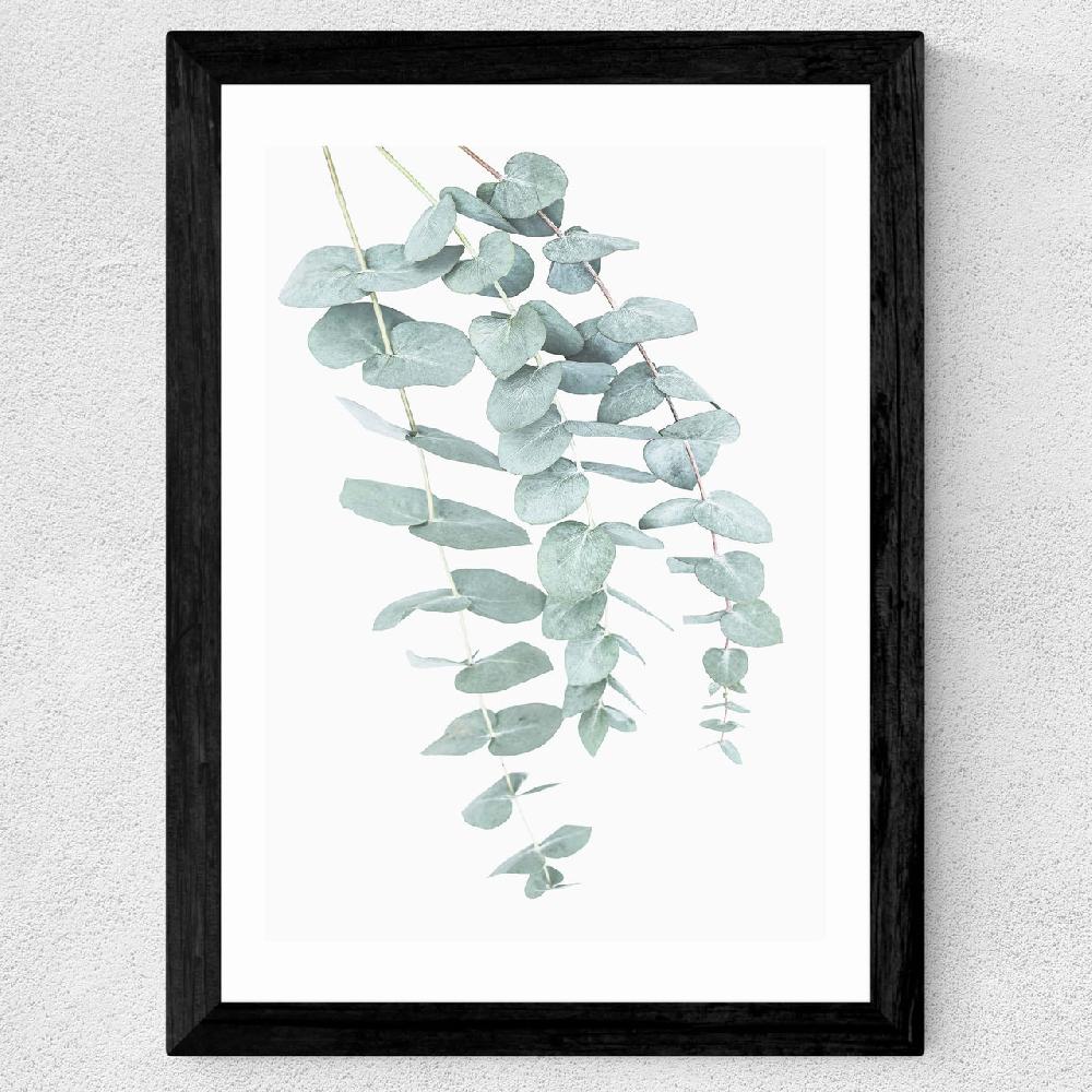 East End Prints Eucalyptus 2