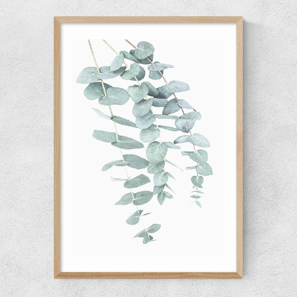 East End Prints Eucalyptus 2
