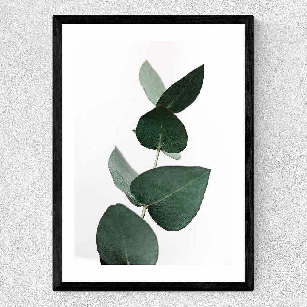 East End Prints Eucalyptus 4