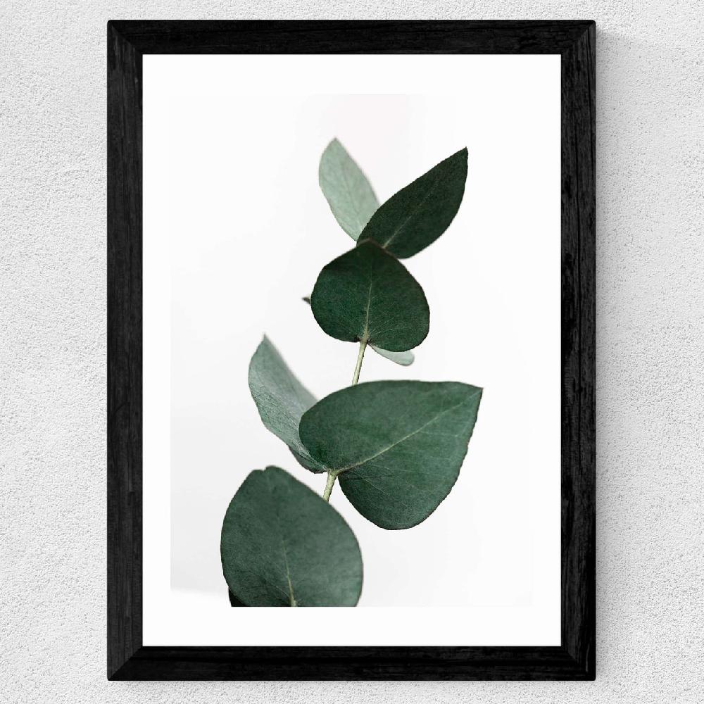East End Prints Eucalyptus 4