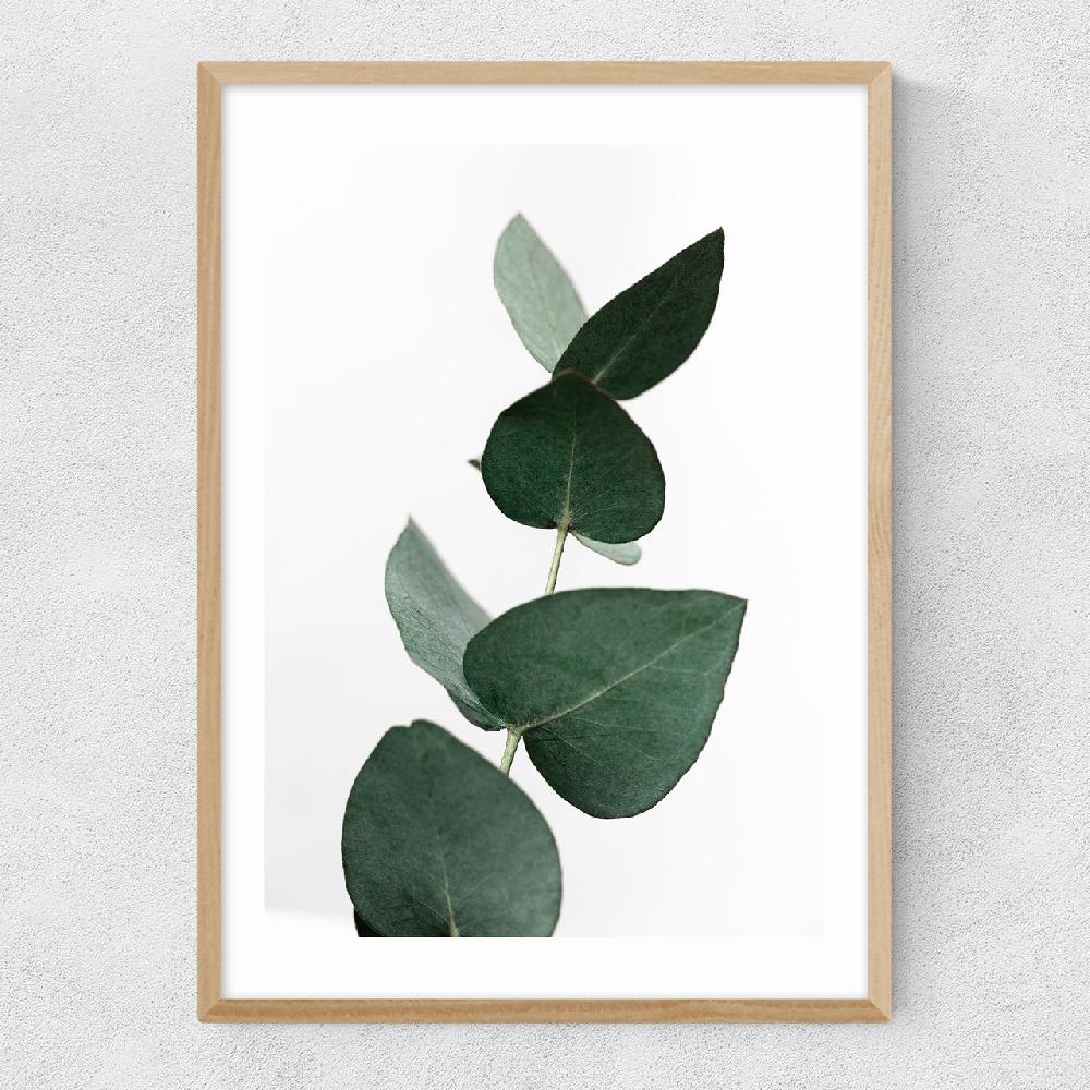East End Prints Eucalyptus 4