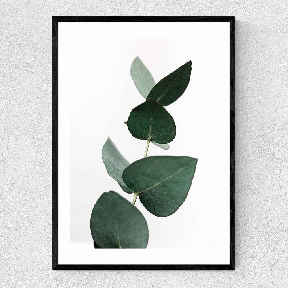 east end prints Eucalyptus 4