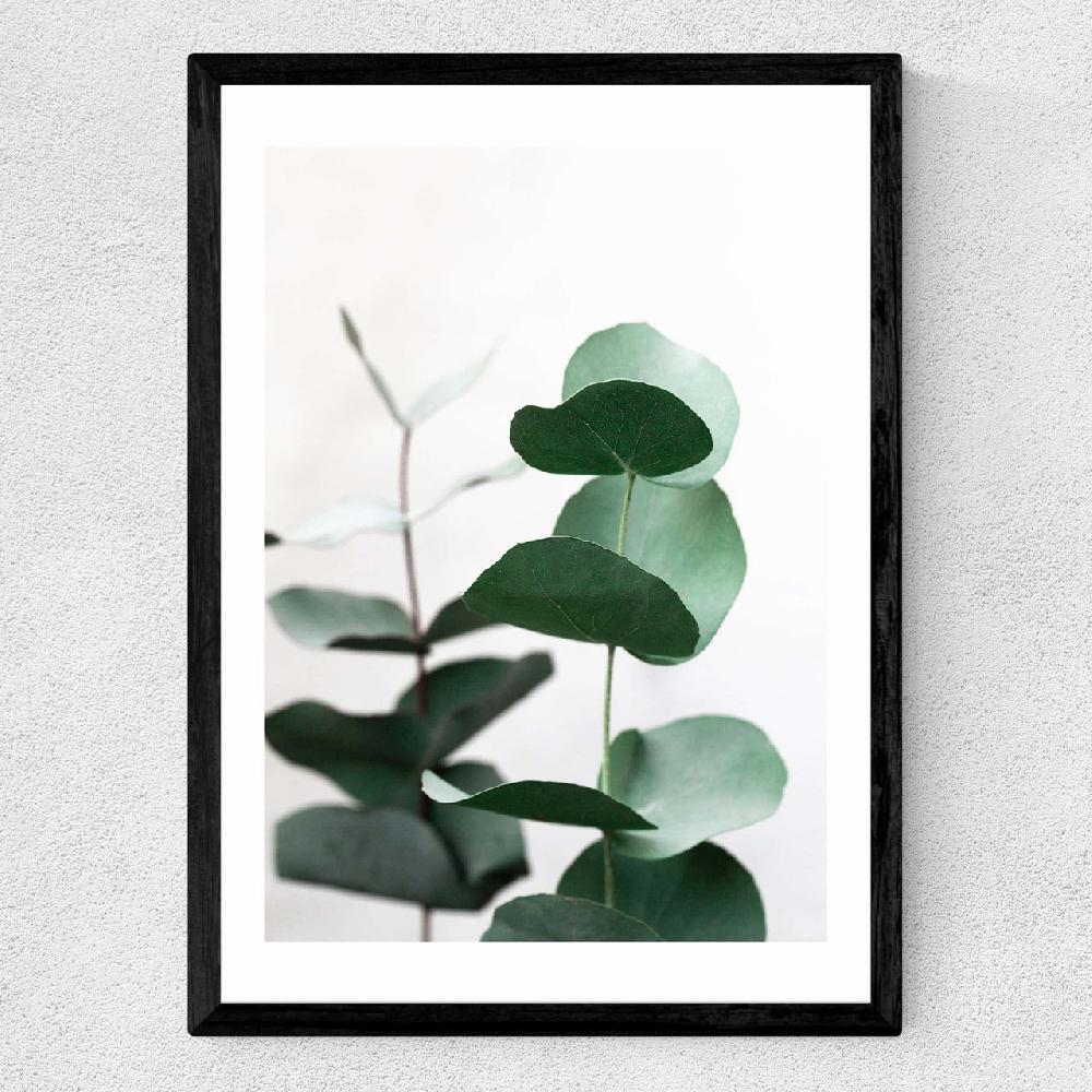 East End Prints Eucalyptus 5