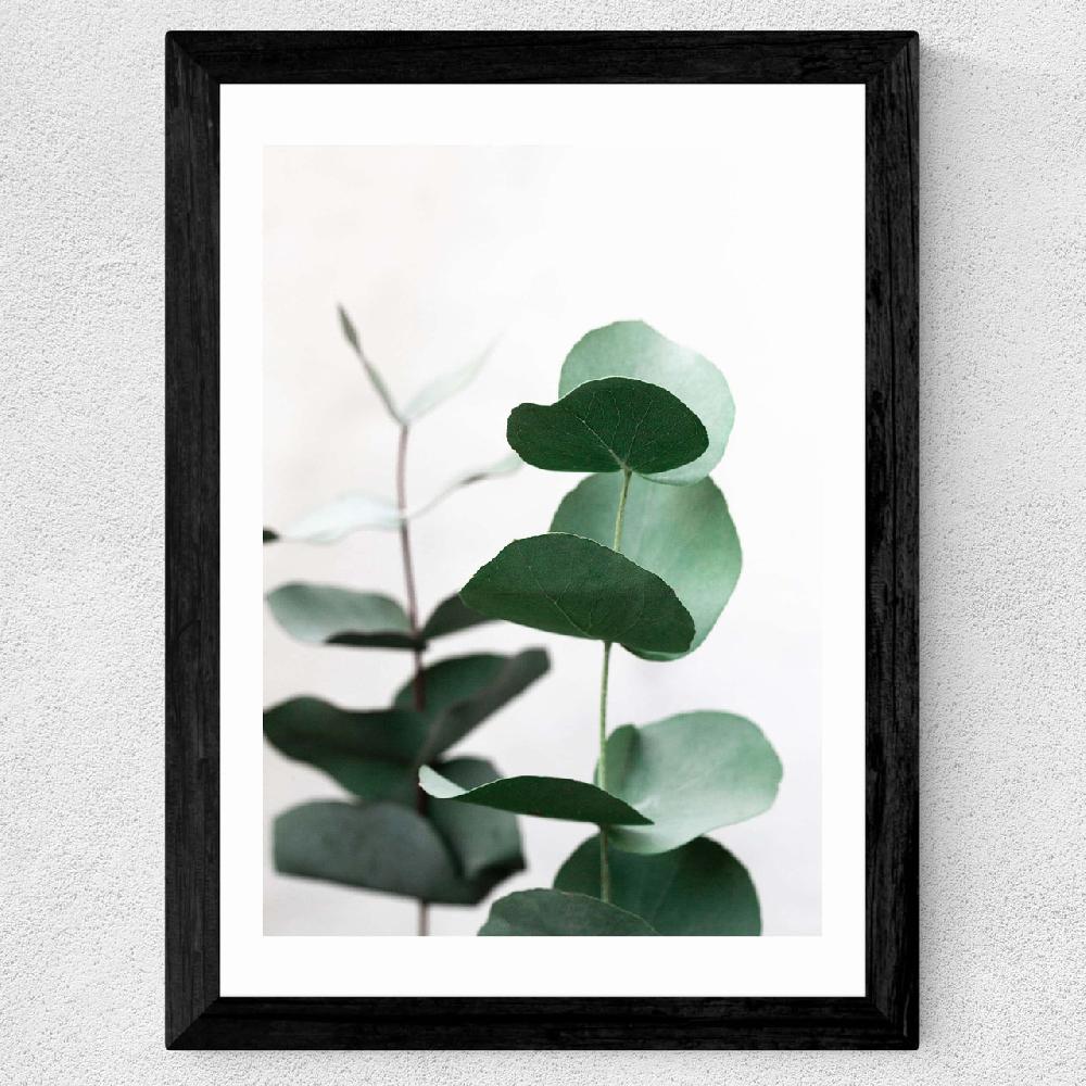 East End Prints Eucalyptus 5