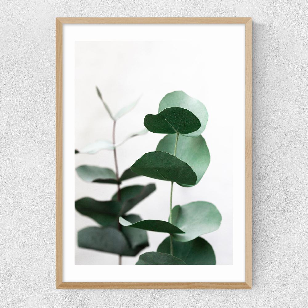 East End Prints Eucalyptus 5