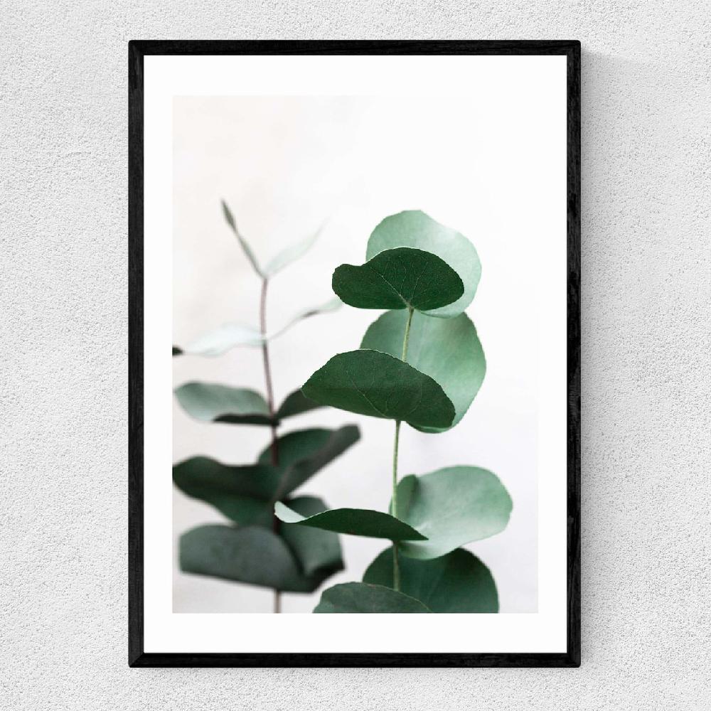 east end prints Eucalyptus 5