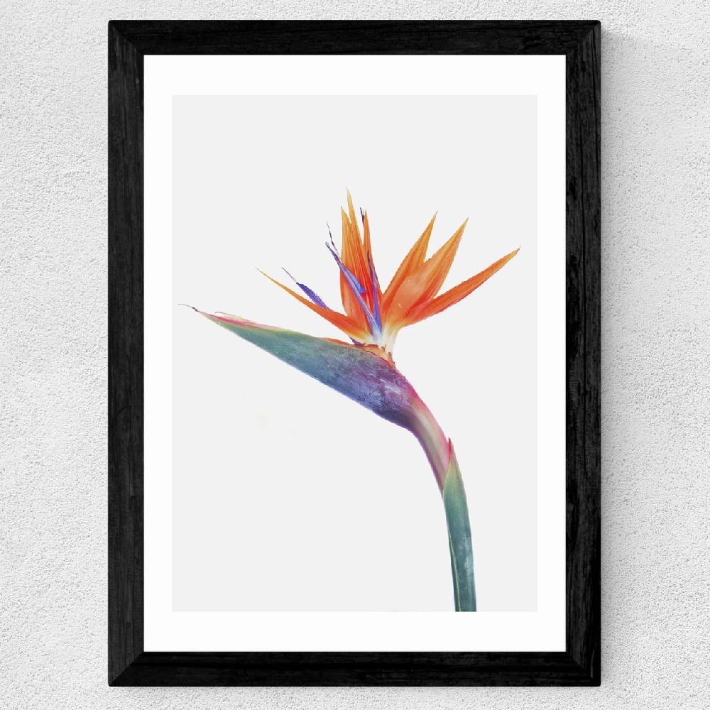 East End Prints Exuberance