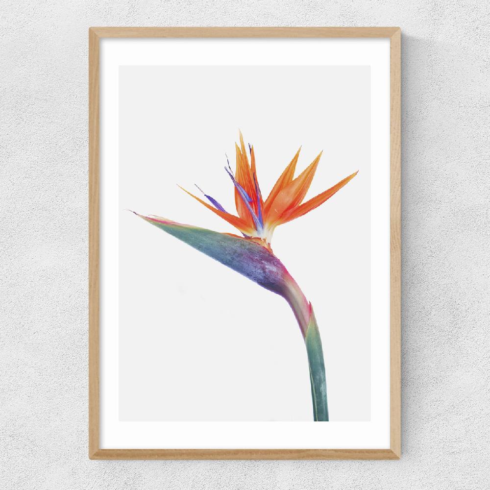 East End Prints Exuberance