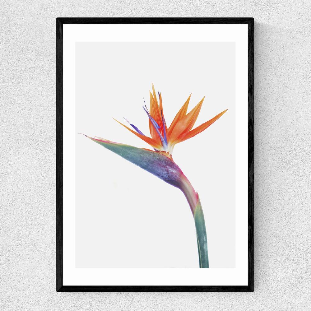 east end prints Exuberance