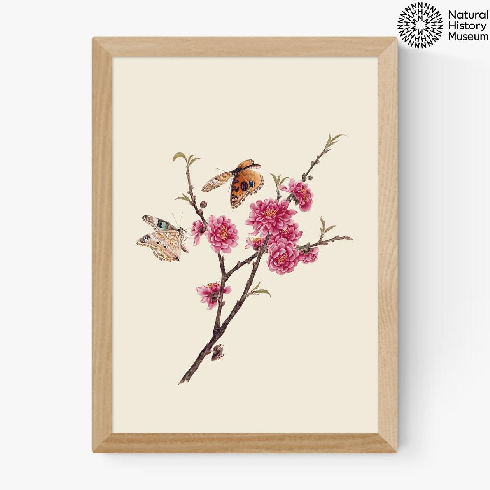 East End Prints Flower And Butterflies