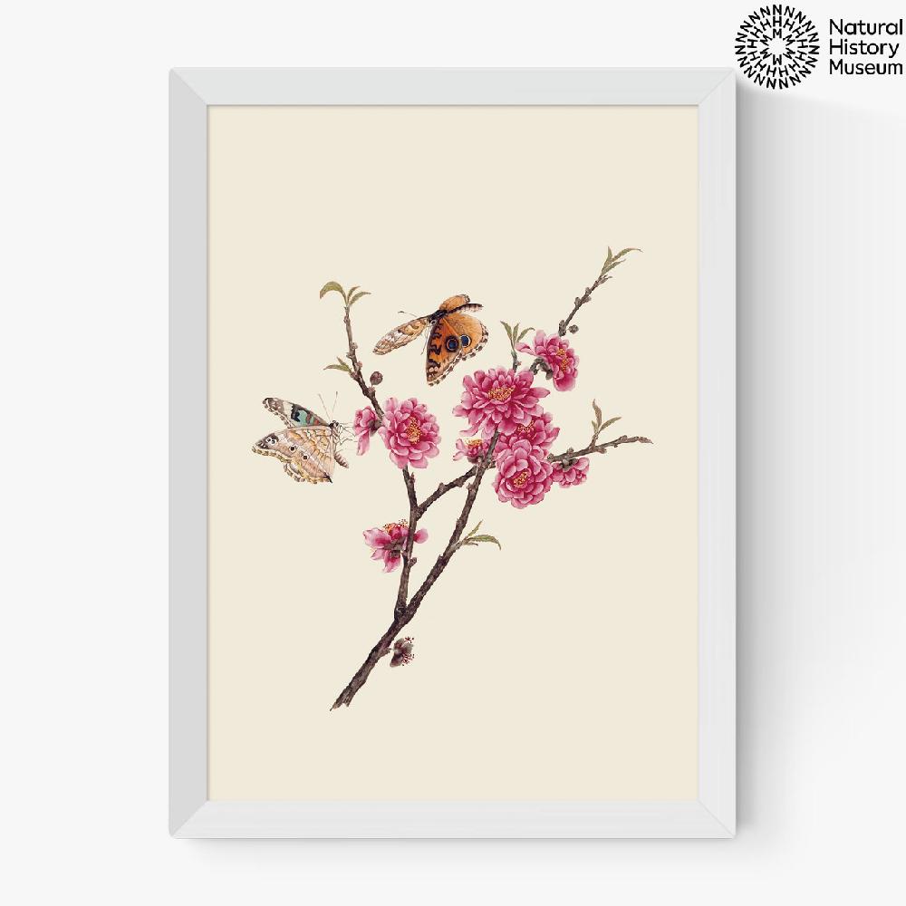 East End Prints Flower And Butterflies