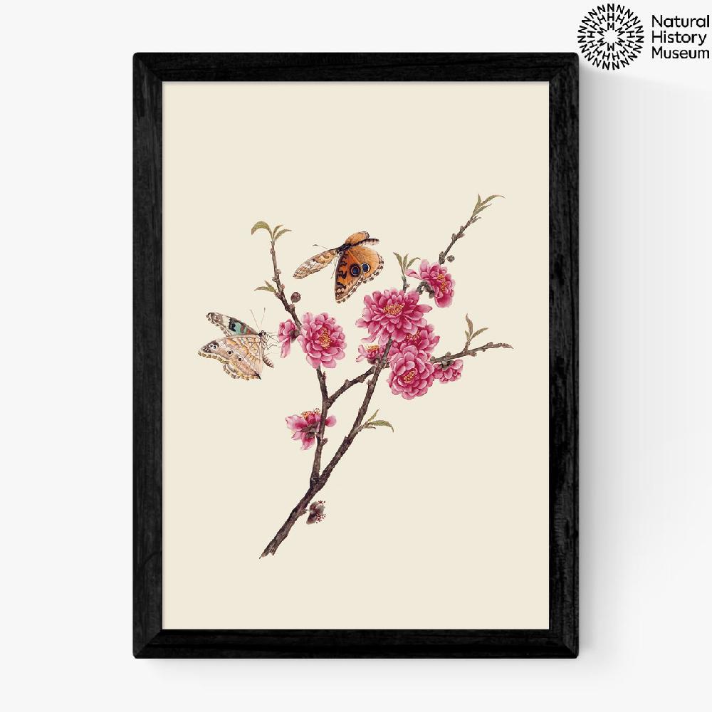 east end prints Flower and Butterflies