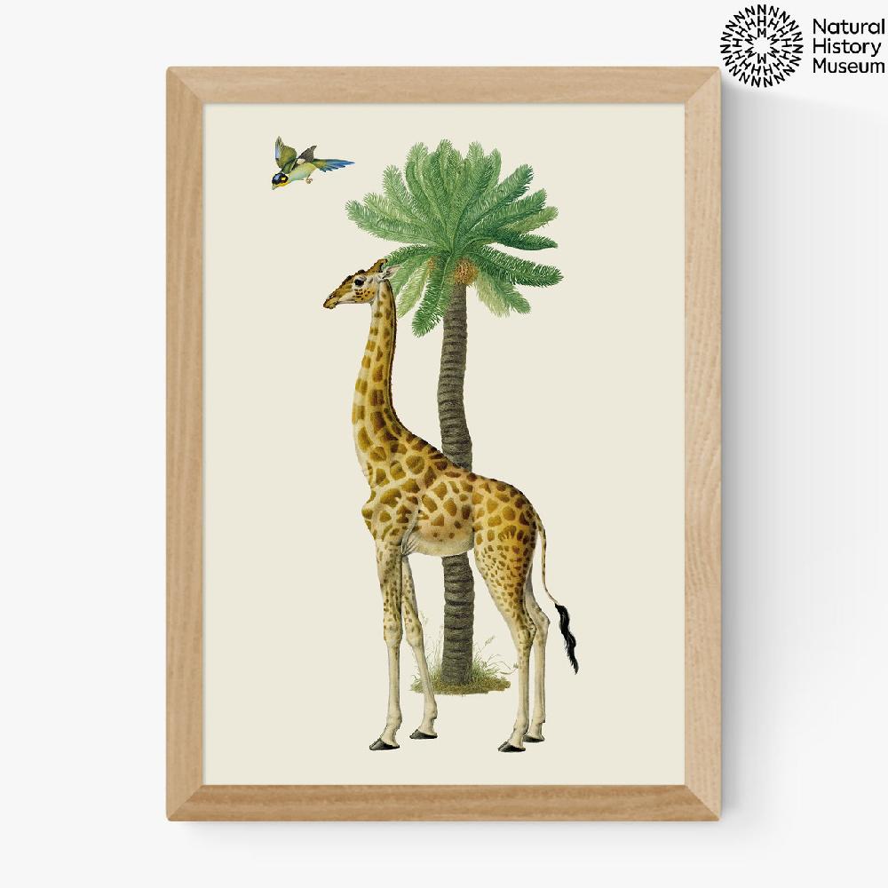 East End Prints Giraffe And Bird