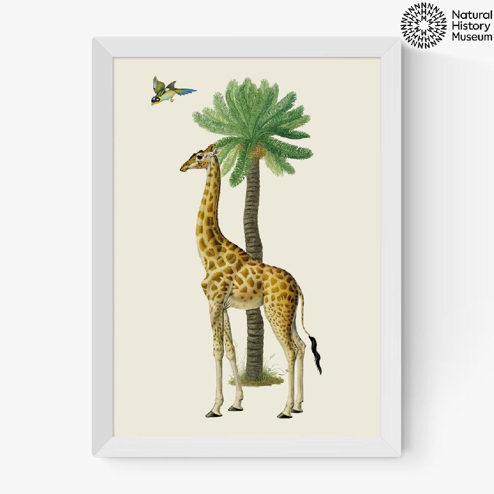 East End Prints Giraffe And Bird