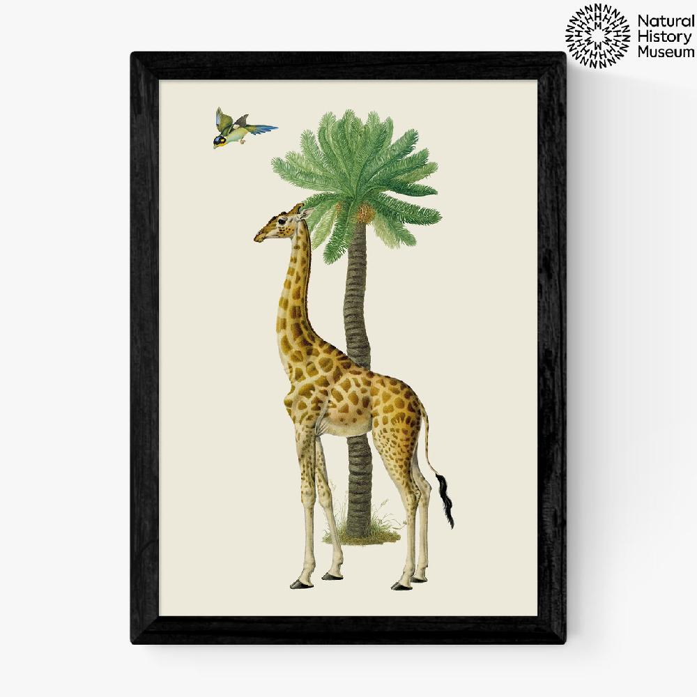 east end prints Giraffe and Bird